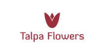 Společnost Talpa flowers se postarala o krásnou květinovou výzdobu v průběhu natáčení našeho videokurzu.